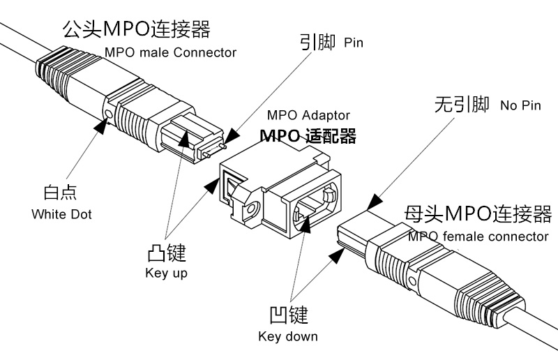 MPO-MTP 连接示意图.jpg